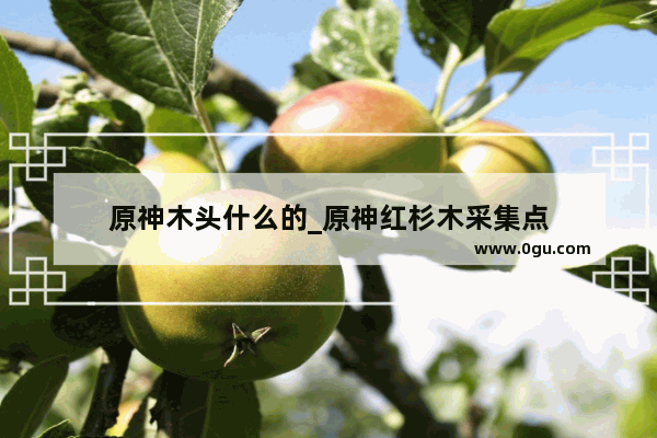 原神木头什么的_原神红杉木采集点