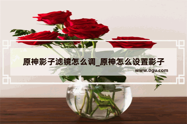 原神影子滤镜怎么调_原神怎么设置影子