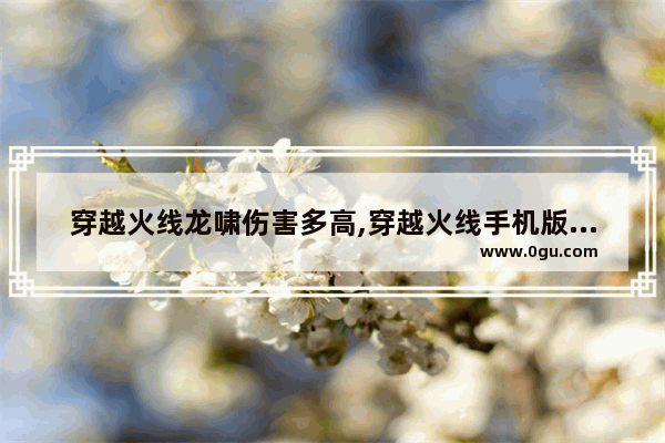穿越火线龙啸伤害多高,穿越火线手机版龙啸