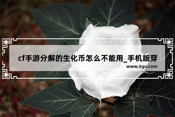 cf手游分解的生化币怎么不能用_手机版穿越火线生化虚空终结者更新了吗