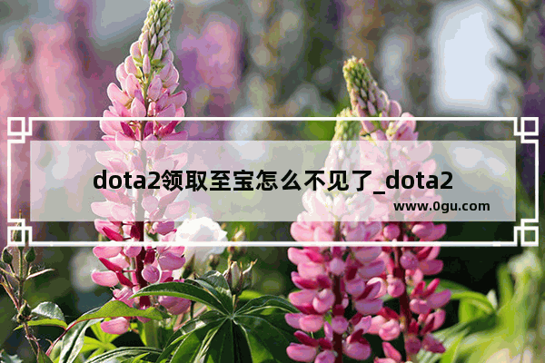 dota2领取至宝怎么不见了_dota2的至宝和不朽有什么区别