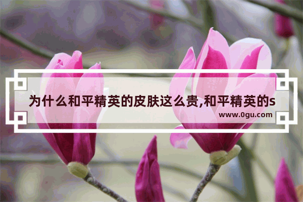 为什么和平精英的皮肤这么贵,和平精英的ss8赛季