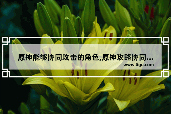 原神能够协同攻击的角色,原神攻略协同攻势