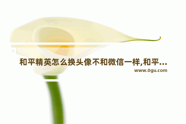 和平精英怎么换头像不和微信一样,和平精英一样样