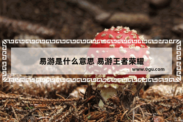 易游是什么意思 易游王者荣耀