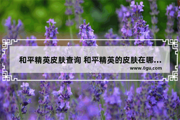 和平精英皮肤查询 和平精英的皮肤在哪里看