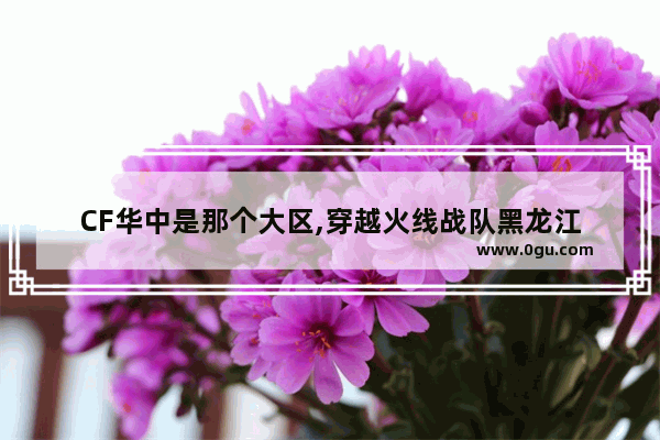 CF华中是那个大区,穿越火线战队黑龙江