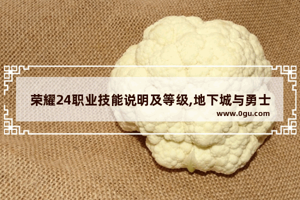 荣耀24职业技能说明及等级,地下城与勇士剑影拔刀斩