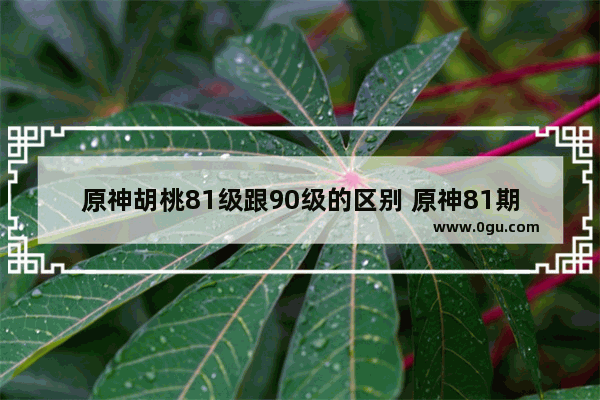 原神胡桃81级跟90级的区别 原神81期攻略