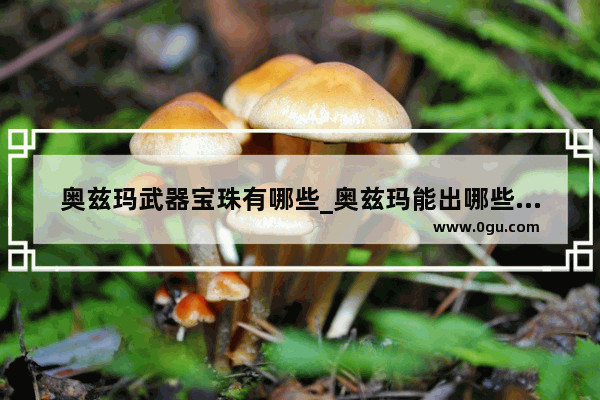 奥兹玛武器宝珠有哪些_奥兹玛能出哪些宝珠