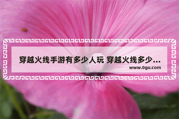 穿越火线手游有多少人玩 穿越火线多少人在玩