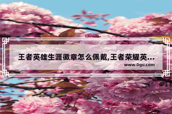 王者英雄生涯徽章怎么佩戴,王者荣耀英雄徽章