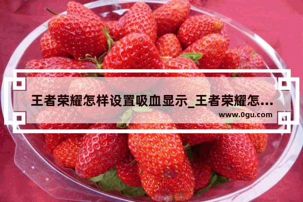 王者荣耀怎样设置吸血显示_王者荣耀怎么样才能吸血显示