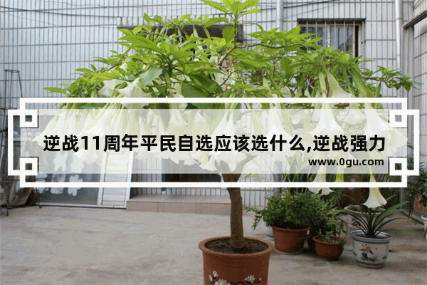 逆战11周年平民自选应该选什么,逆战强力自选道具