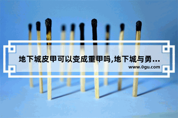 地下城皮甲可以变成重甲吗,地下城与勇士装备皮甲吗