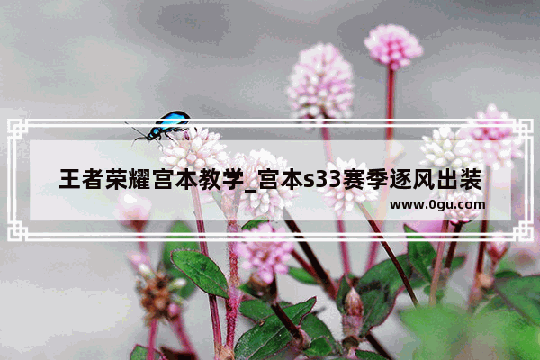 王者荣耀宫本教学_宫本s33赛季逐风出装