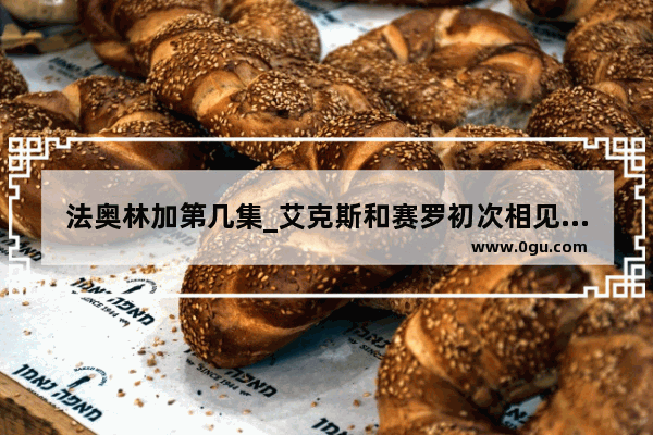 法奥林加第几集_艾克斯和赛罗初次相见哪一集