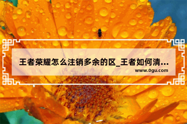 王者荣耀怎么注销多余的区_王者如何清理掉多余的数据