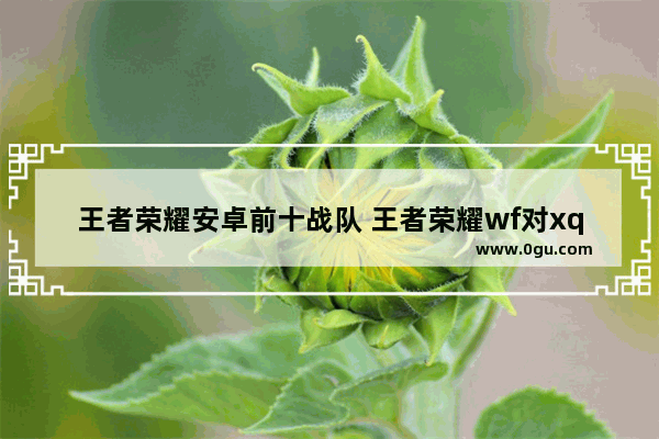 王者荣耀安卓前十战队 王者荣耀wf对xq