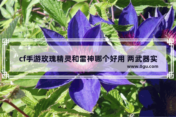 cf手游玫瑰精灵和雷神哪个好用 两武器实战对比分析_4万cf点买啥角色