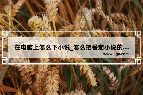 在电脑上怎么下小说_怎么把番茄小说的书转换成txt