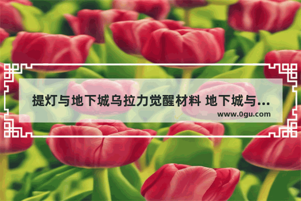 提灯与地下城乌拉力觉醒材料 地下城与勇士暗魔法石