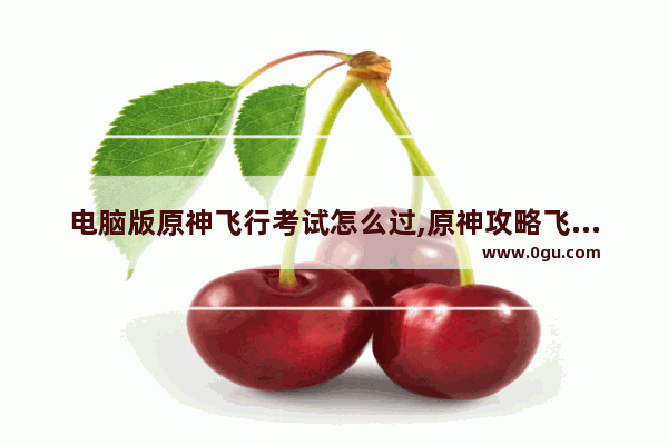 电脑版原神飞行考试怎么过,原神攻略飞行考试