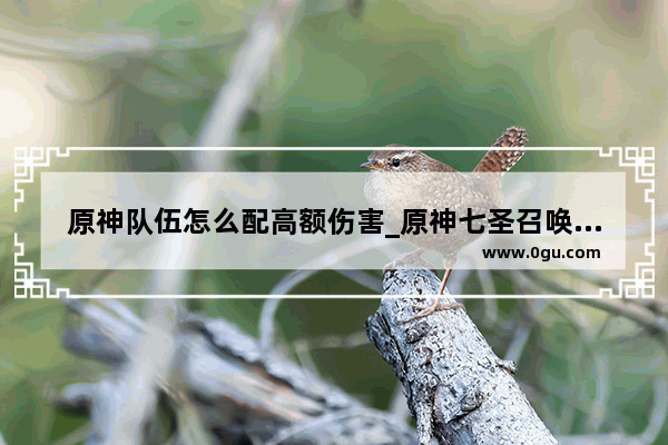 原神队伍怎么配高额伤害_原神七圣召唤怎么配队