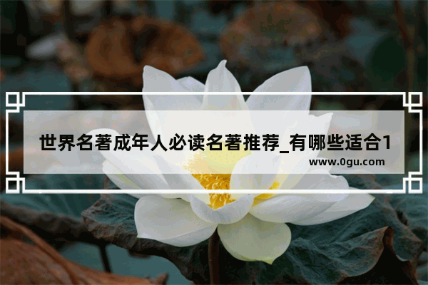 世界名著成年人必读名著推荐_有哪些适合10岁小男孩读的书
