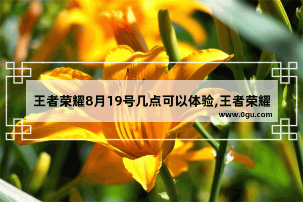 王者荣耀8月19号几点可以体验,王者荣耀8.23