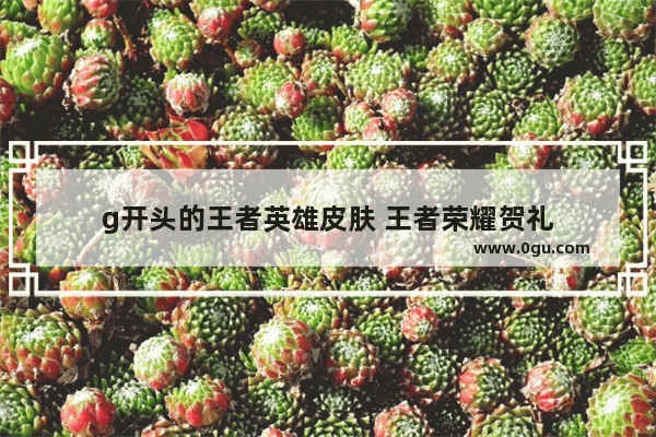 g开头的王者英雄皮肤 王者荣耀贺礼