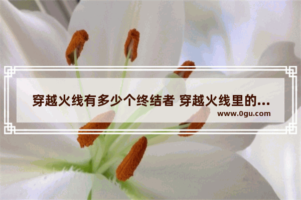 穿越火线有多少个终结者 穿越火线里的终结者