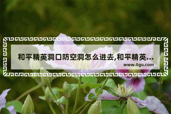 和平精英洞口防空洞怎么进去,和平精英中哪里有防空洞