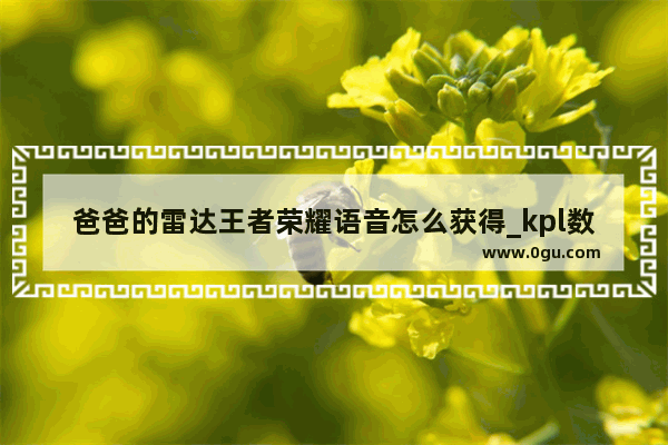 爸爸的雷达王者荣耀语音怎么获得_kpl数据雷达图怎么看