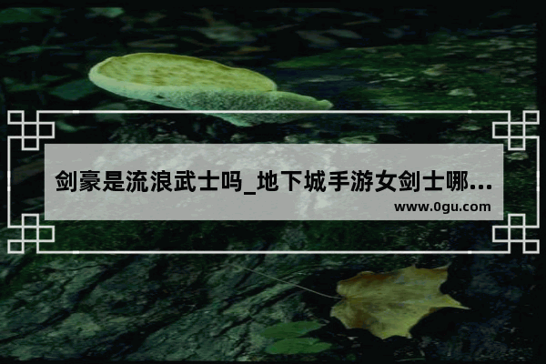 剑豪是流浪武士吗_地下城手游女剑士哪个职业好