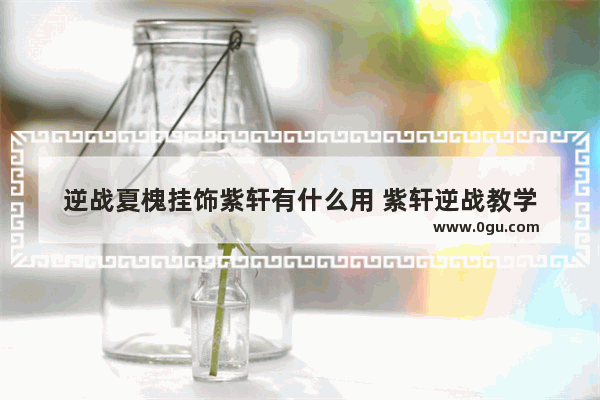 逆战夏槐挂饰紫轩有什么用 紫轩逆战教学