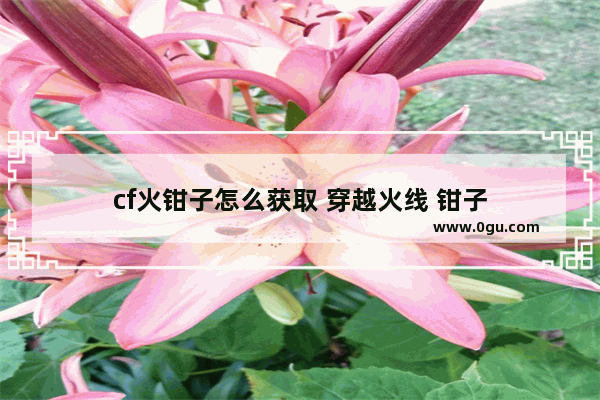 cf火钳子怎么获取 穿越火线 钳子