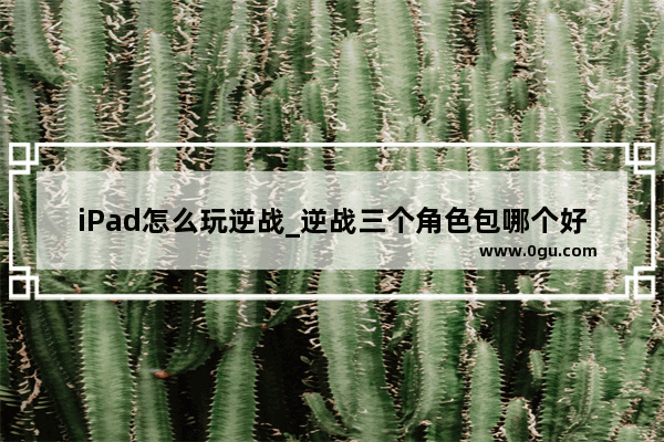 iPad怎么玩逆战_逆战三个角色包哪个好
