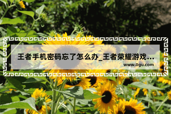 王者手机密码忘了怎么办_王者荣耀游戏密码怎么解锁