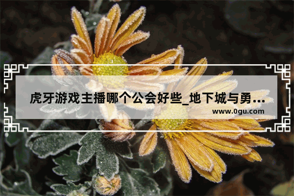 虎牙游戏主播哪个公会好些_地下城与勇士主播旭旭用的哪个英雄