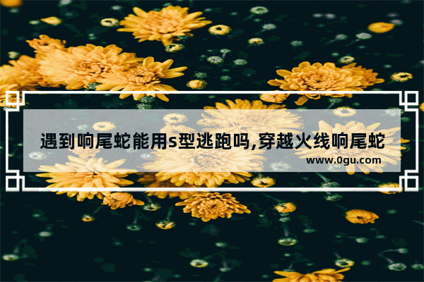 遇到响尾蛇能用s型逃跑吗,穿越火线响尾蛇