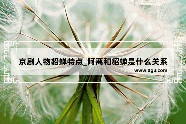 京剧人物貂蝉特点_阿离和貂蝉是什么关系