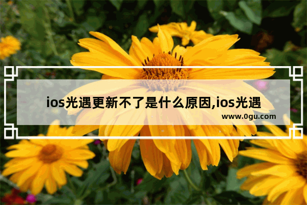 ios光遇更新不了是什么原因,ios光遇不能