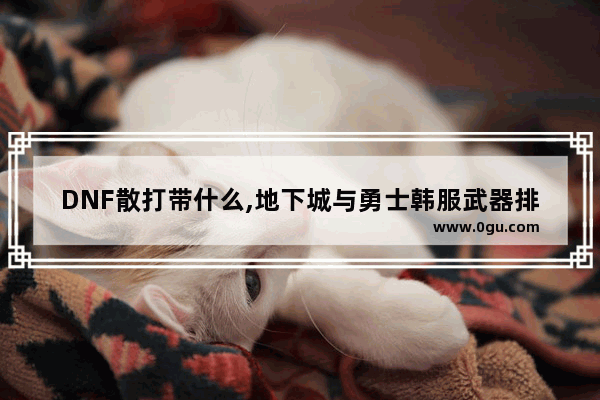 DNF散打带什么,地下城与勇士韩服武器排行