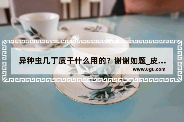 异种虫几丁质干什么用的？谢谢如题_皮虫是什么样子