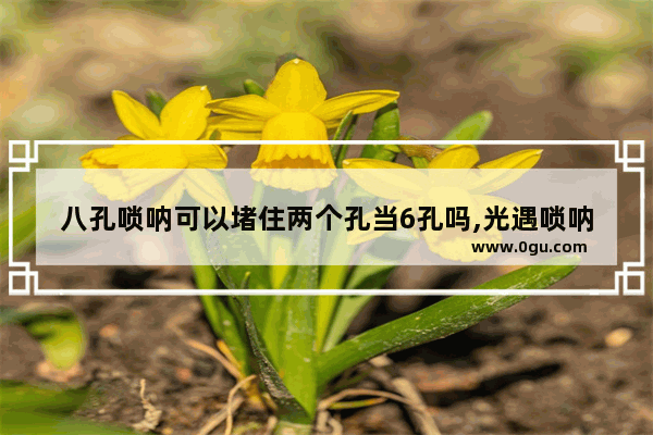 八孔唢呐可以堵住两个孔当6孔吗,光遇唢呐适合