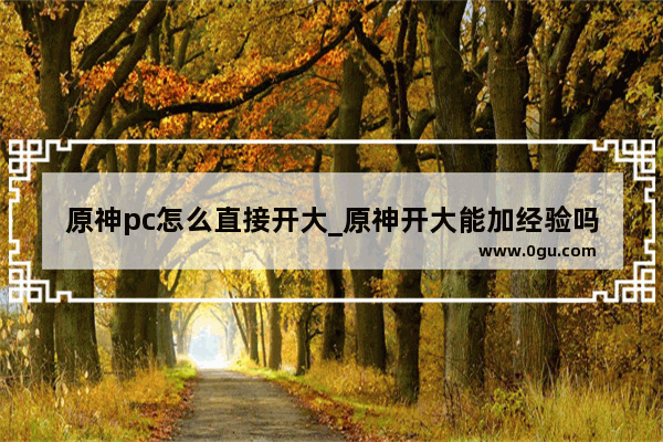 原神pc怎么直接开大_原神开大能加经验吗