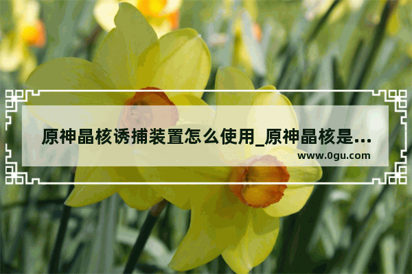 原神晶核诱捕装置怎么使用_原神晶核是什么