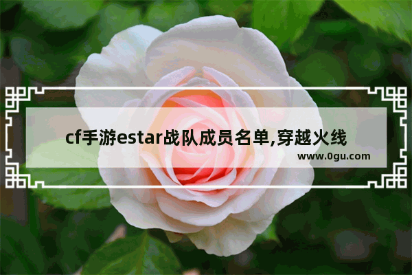 cf手游estar战队成员名单,穿越火线女战队