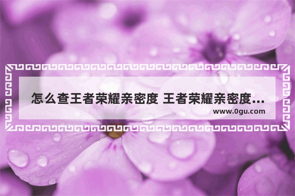 怎么查王者荣耀亲密度 王者荣耀亲密度显示